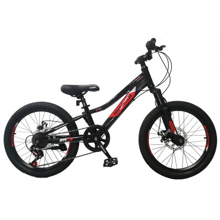 VELOSIPED 20" - 150028